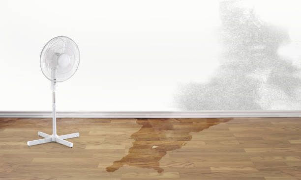 Best Sewage cleanup and water damage restoration  in Kentwood, LA