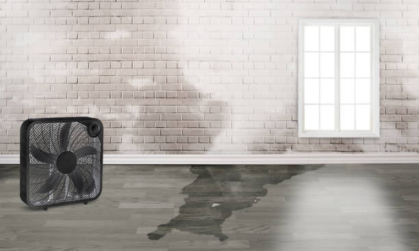 Fire Damage Restoration in Kentwood, LA