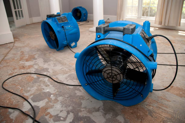 Best Water damage restoration process  in Kentwood, LA