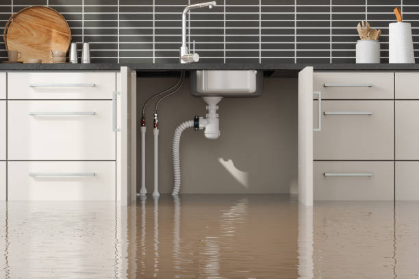 Best Water damage restoration company  in Kentwood, LA